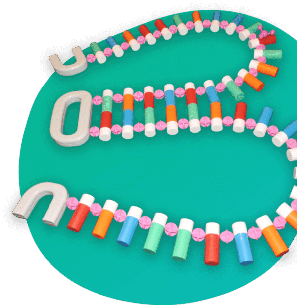 Basic DNA & Friends Kit (3 tRNAs with 7 amino acids) - Image 2